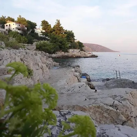 Lavander * Trogir